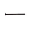 Maze Nails Common Nail, 4 in L, 20D, Carbon Steel, 0.177 ga H526A050